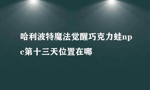 哈利波特魔法觉醒巧克力蛙npc第十三天位置在哪