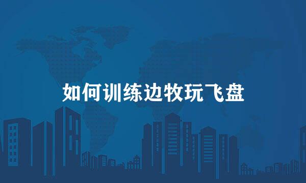 如何训练边牧玩飞盘