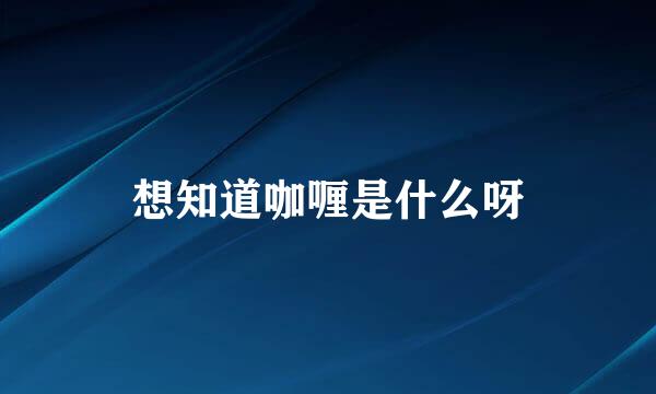 想知道咖喱是什么呀