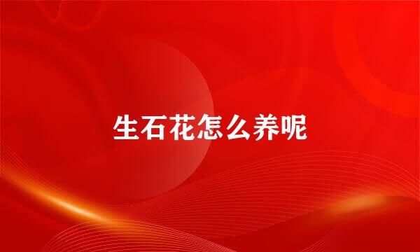 生石花怎么养呢