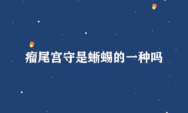 瘤尾宫守是蜥蜴的一种吗