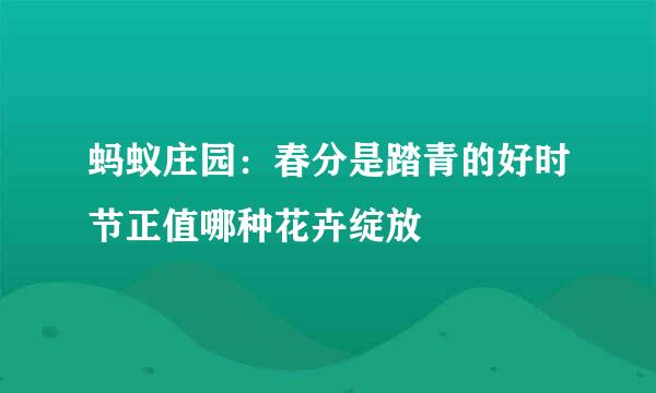 蚂蚁庄园：春分是踏青的好时节正值哪种花卉绽放
