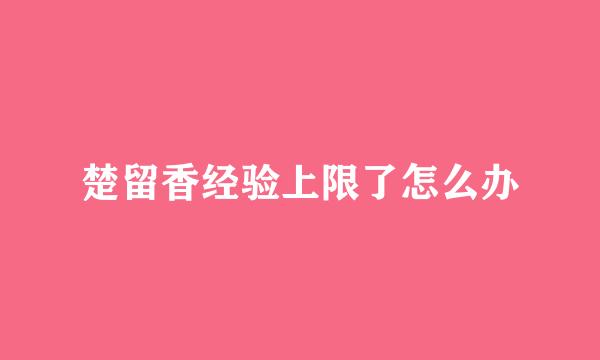 楚留香经验上限了怎么办