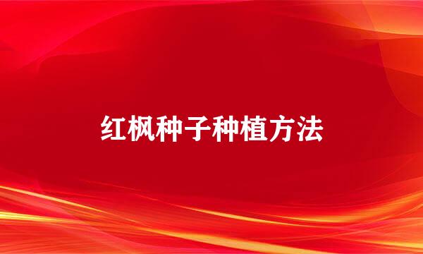 红枫种子种植方法