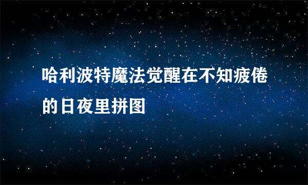 哈利波特魔法觉醒在不知疲倦的日夜里拼图