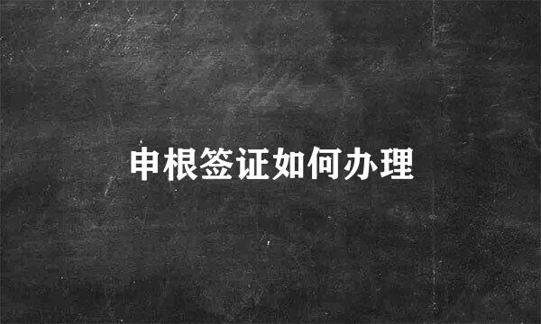 申根签证如何办理