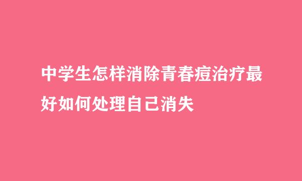 中学生怎样消除青春痘治疗最好如何处理自己消失