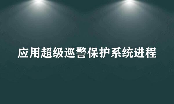 应用超级巡警保护系统进程