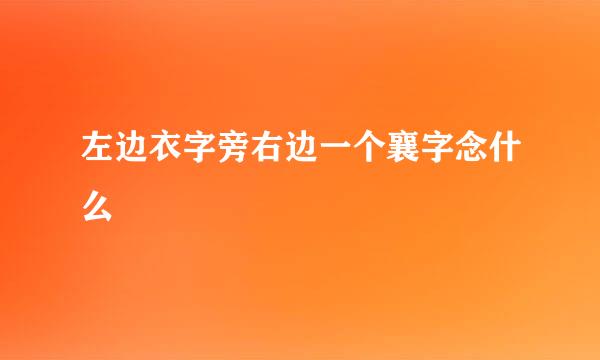 左边衣字旁右边一个襄字念什么