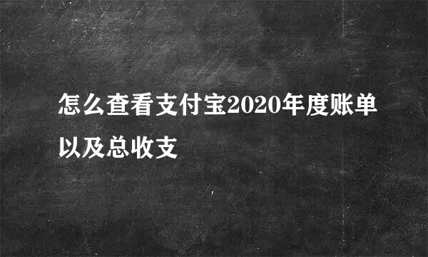 怎么查看支付宝2020年度账单以及总收支