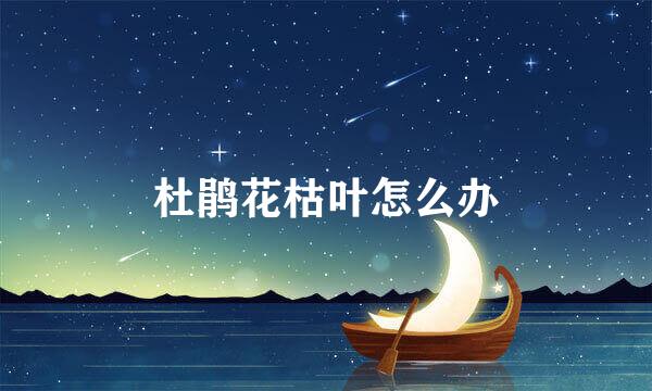 杜鹃花枯叶怎么办