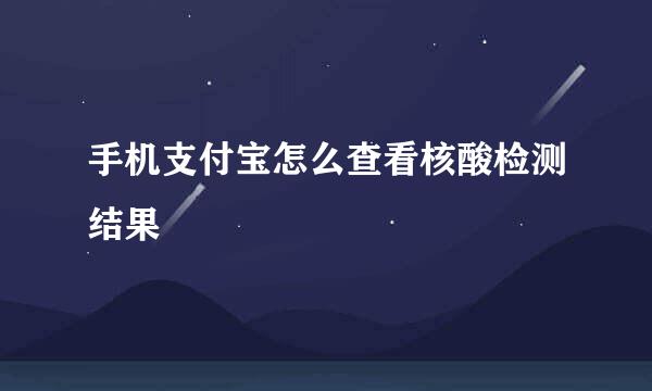 手机支付宝怎么查看核酸检测结果