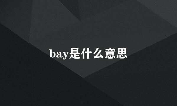 bay是什么意思