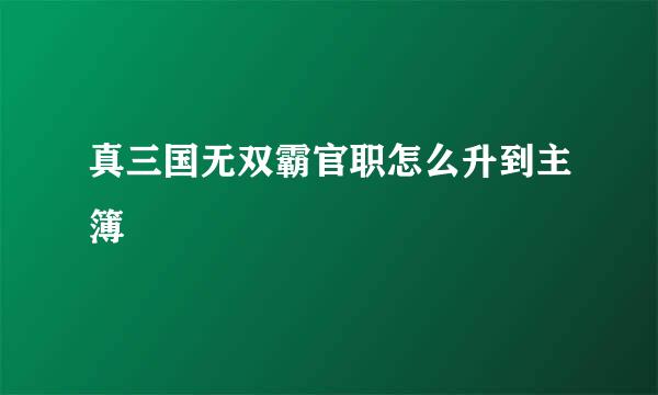 真三国无双霸官职怎么升到主簿