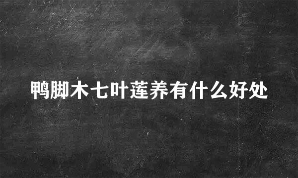 鸭脚木七叶莲养有什么好处