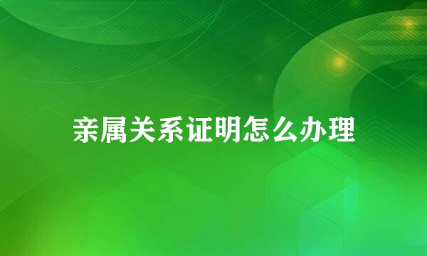 亲属关系证明怎么办理