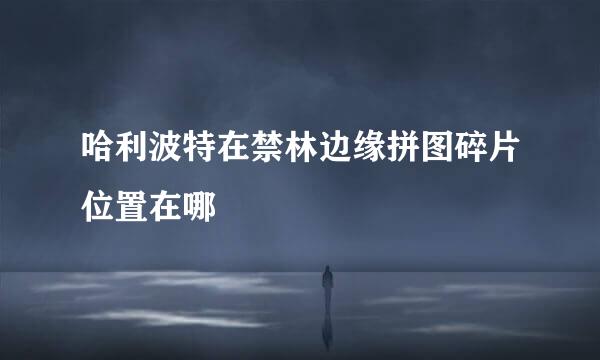 哈利波特在禁林边缘拼图碎片位置在哪