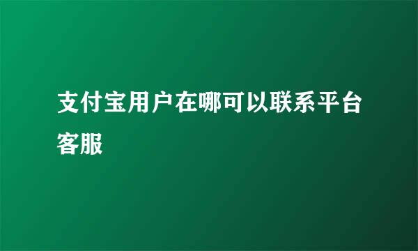 支付宝用户在哪可以联系平台客服