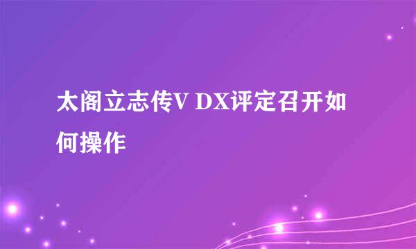 太阁立志传V DX评定召开如何操作