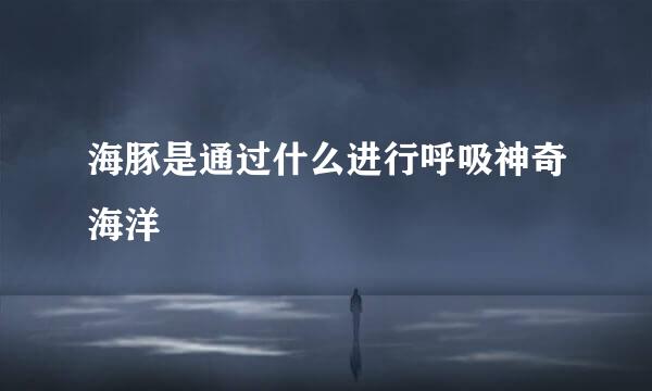 海豚是通过什么进行呼吸神奇海洋