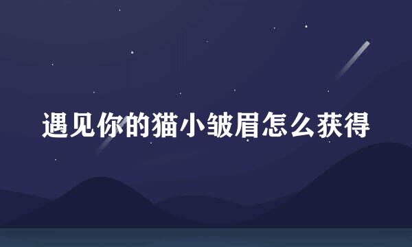 遇见你的猫小皱眉怎么获得
