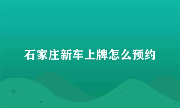 石家庄新车上牌怎么预约