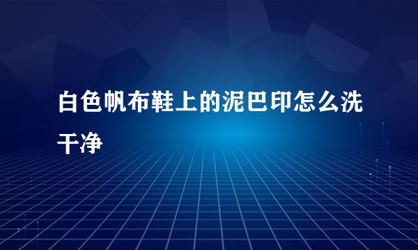 白色帆布鞋上的泥巴印怎么洗干净