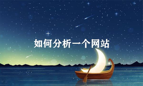 如何分析一个网站