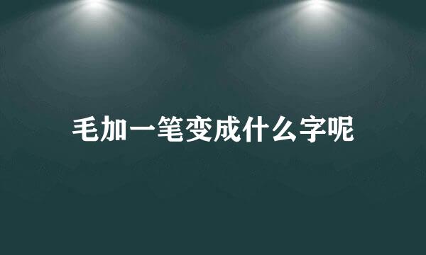 毛加一笔变成什么字呢