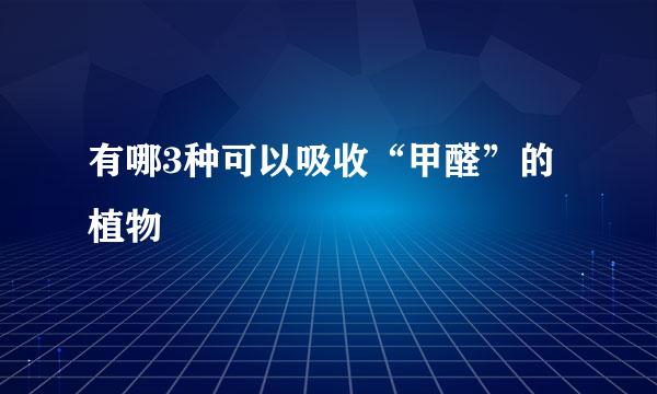 有哪3种可以吸收“甲醛”的植物