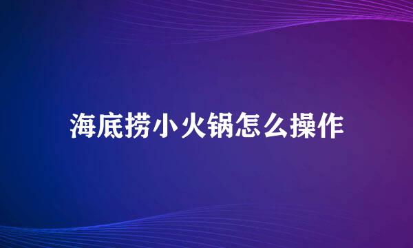 海底捞小火锅怎么操作
