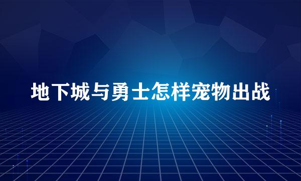 地下城与勇士怎样宠物出战