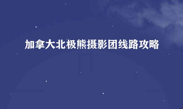 加拿大北极熊摄影团线路攻略