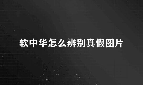 软中华怎么辨别真假图片