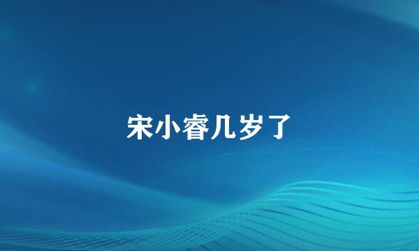 宋小睿几岁了