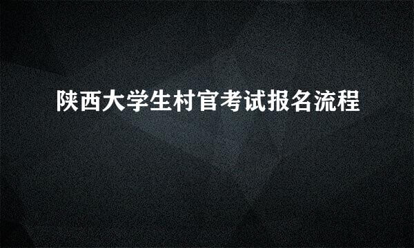陕西大学生村官考试报名流程