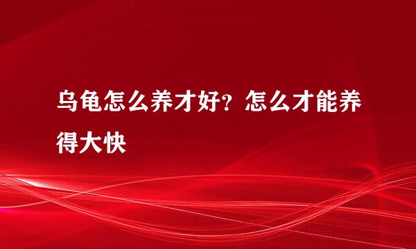 乌龟怎么养才好？怎么才能养得大快