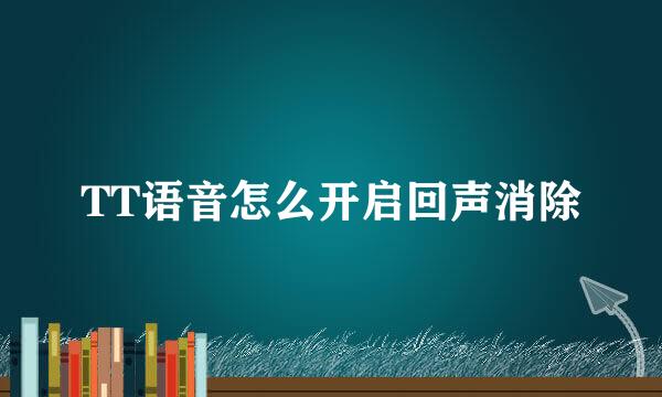 TT语音怎么开启回声消除