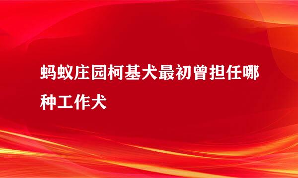 蚂蚁庄园柯基犬最初曾担任哪种工作犬