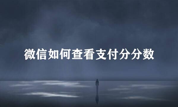 微信如何查看支付分分数