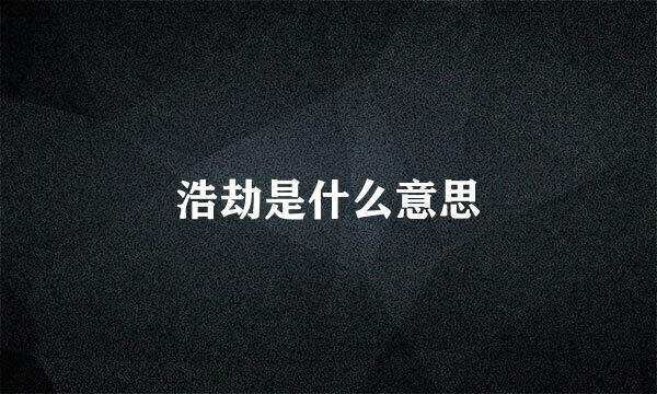 浩劫是什么意思
