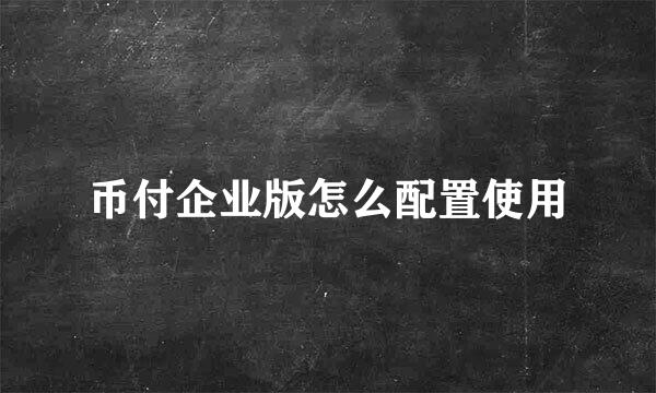 币付企业版怎么配置使用