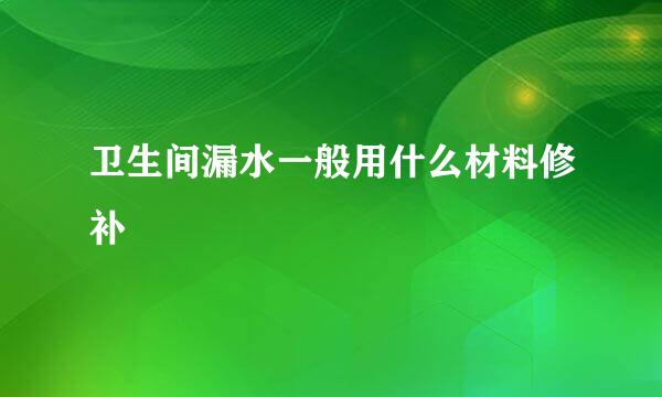 卫生间漏水一般用什么材料修补