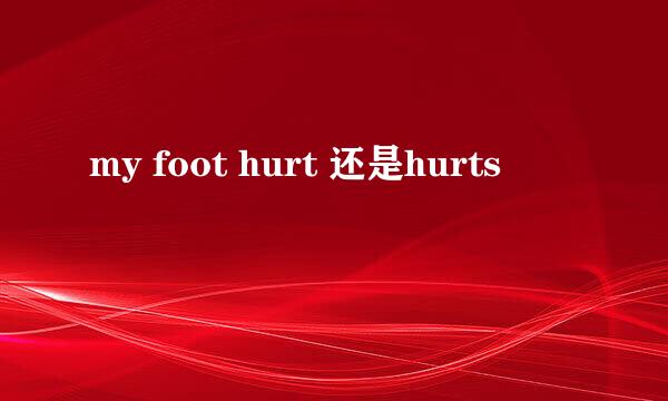 my foot hurt 还是hurts