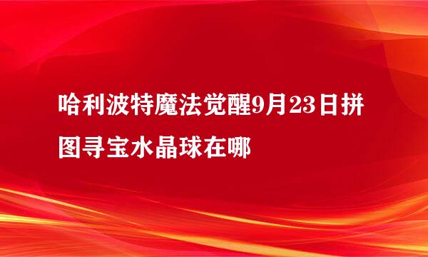 哈利波特魔法觉醒9月23日拼图寻宝水晶球在哪