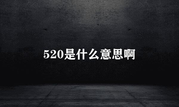 520是什么意思啊