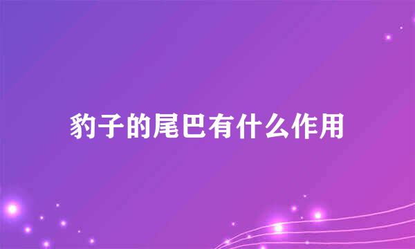 豹子的尾巴有什么作用
