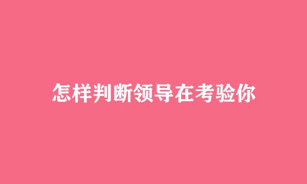 怎样判断领导在考验你