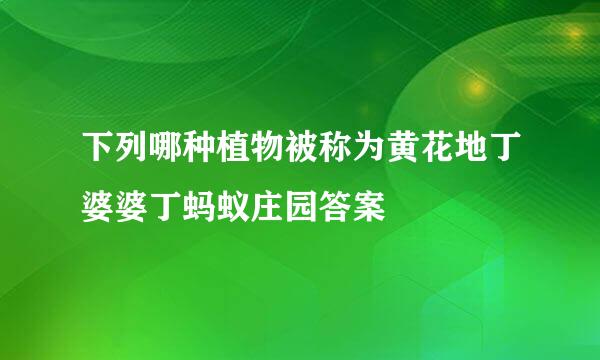 下列哪种植物被称为黄花地丁婆婆丁蚂蚁庄园答案