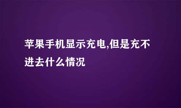 苹果手机显示充电,但是充不进去什么情况